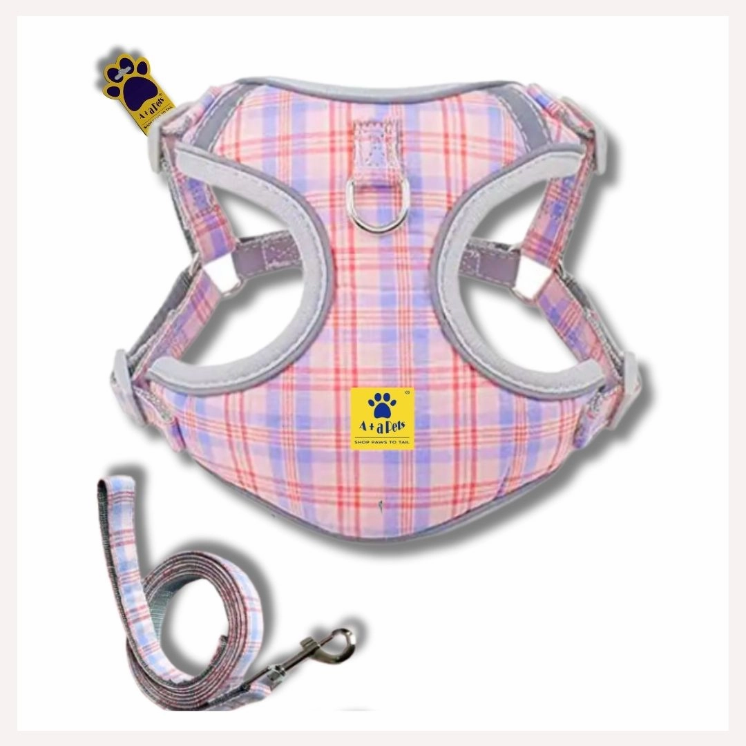 A a Pets' Harness & Leash Set for Cats & Small Dogs