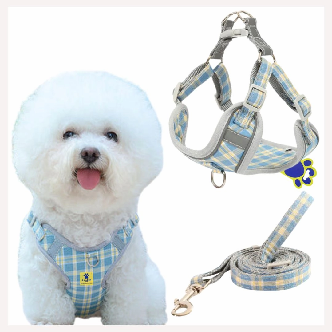 A a Pets' Harness & Leash Set for Cats & Small Dogs