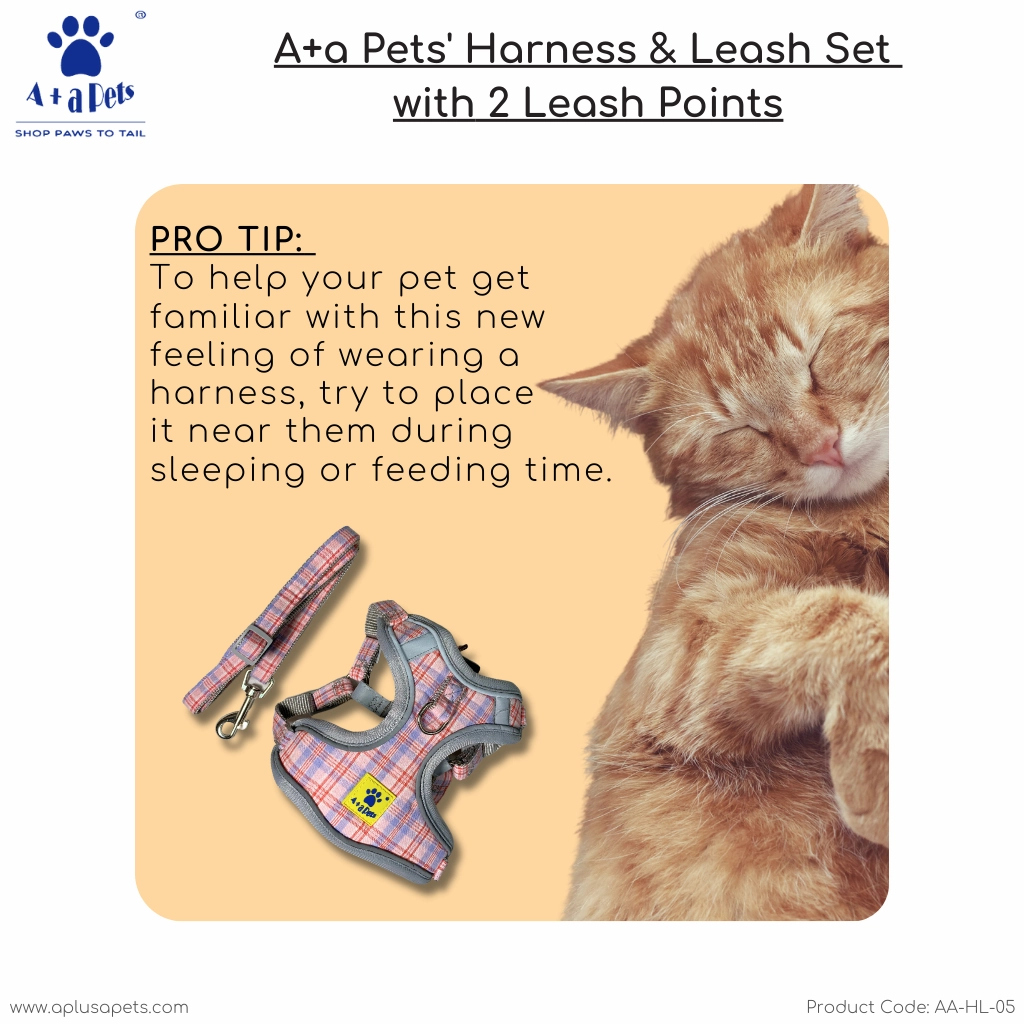 A a Pets' Harness & Leash Set for Cats & Small Dogs