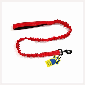 A a Pets' Heavy Duty Bungee Leash