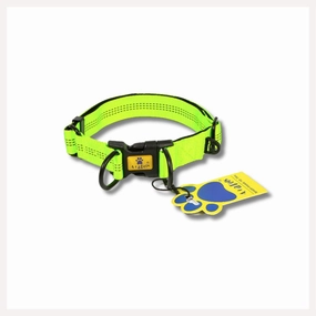 A a Pets' Heavy Duty Collar for Lorge Dogs
