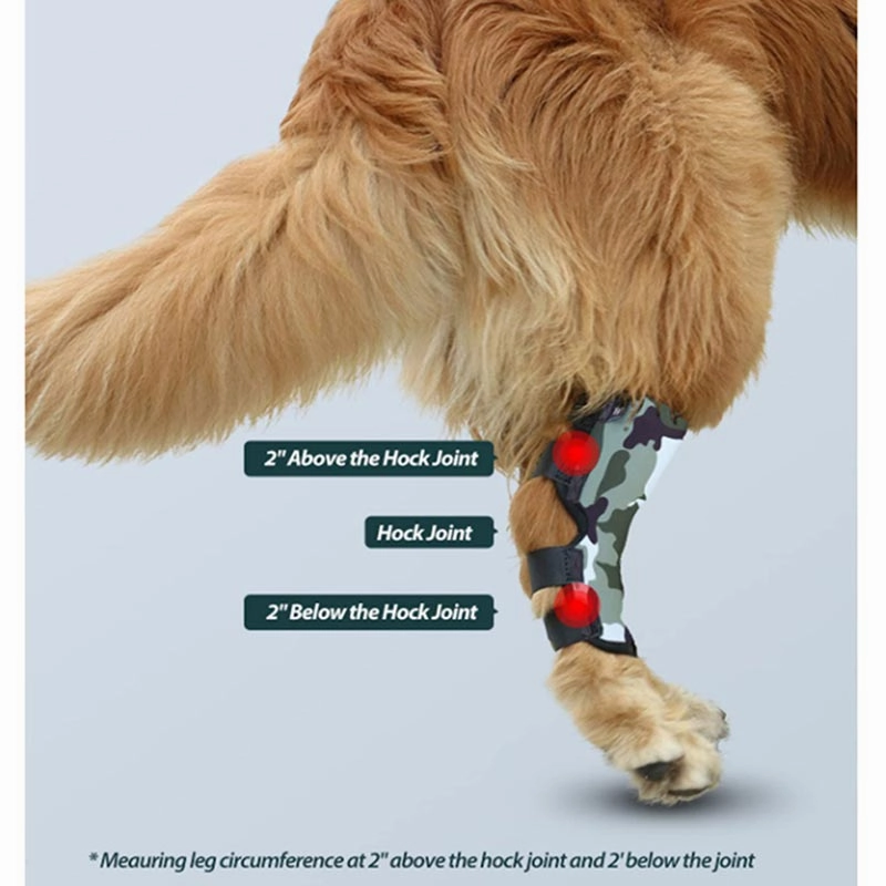 A a Pets' Hock Joint Support Wrap Leg Braces - Pair