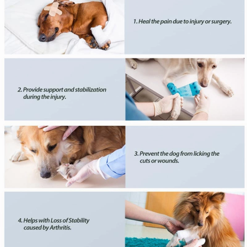 A a Pets' Hock Joint Support Wrap Leg Braces - Pair
