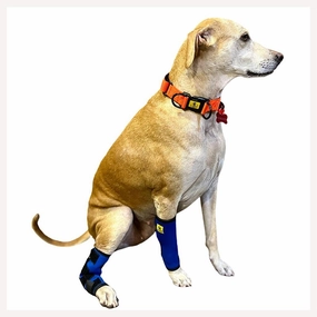 A a Pets' Hock Joint Support Wrap Leg Braces - Pair