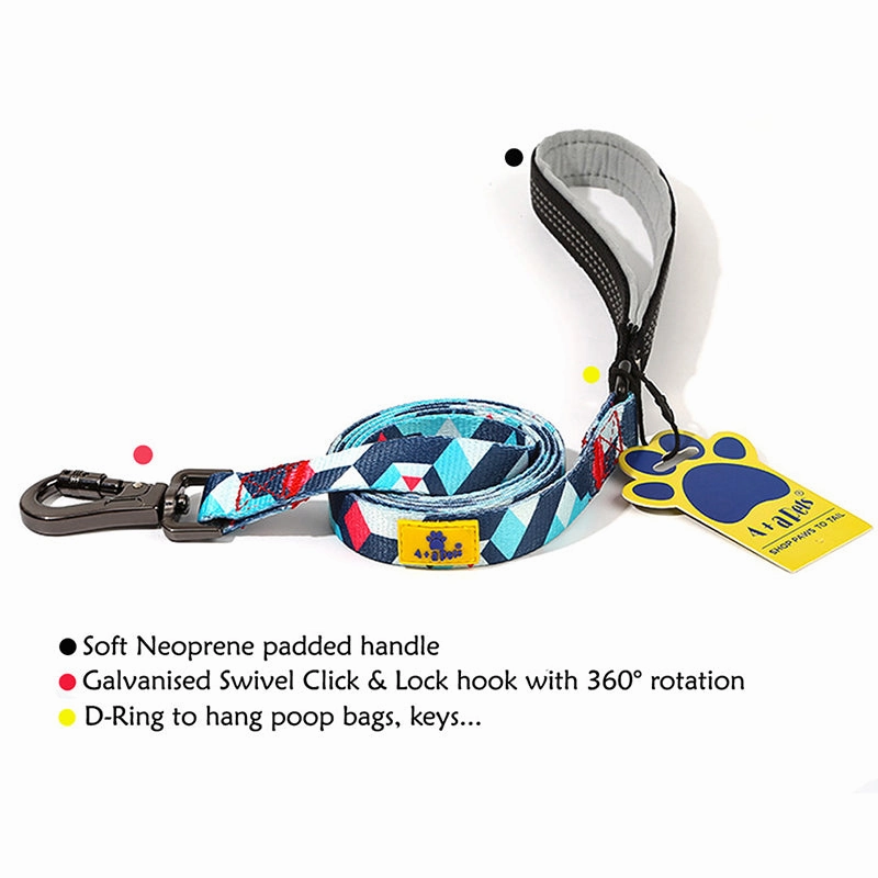 A a Pets' Leash in Geometric Design