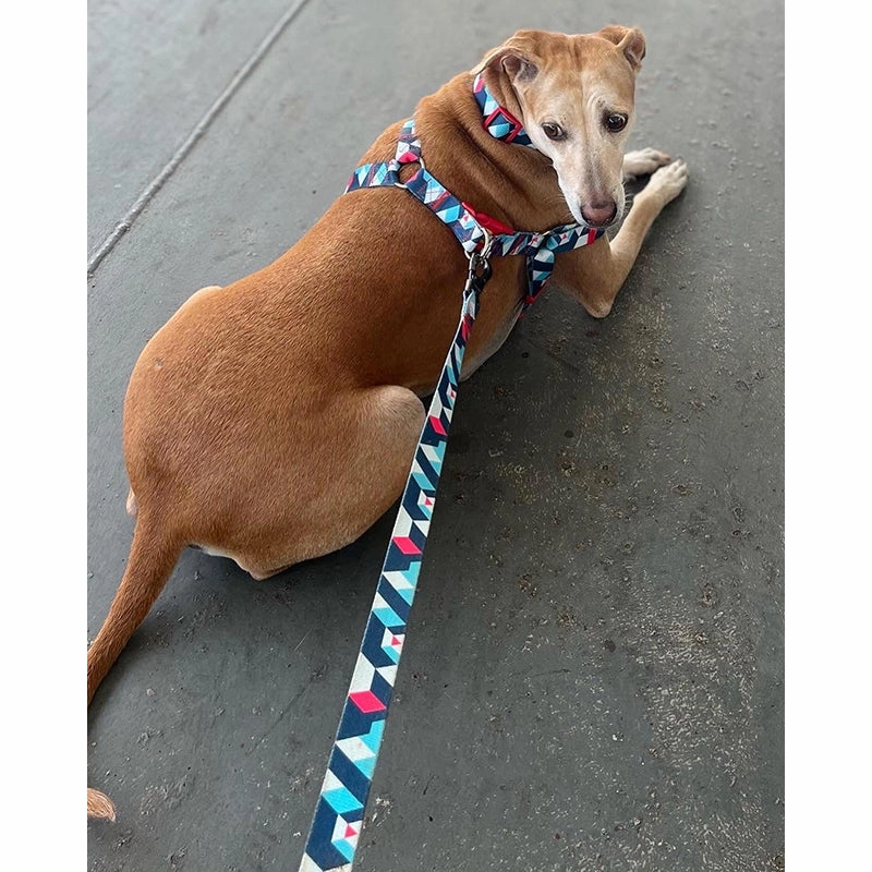 A a Pets' Leash in Geometric Design