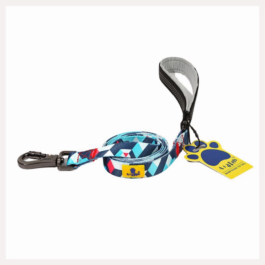 A a Pets' Leash in Geometric Design