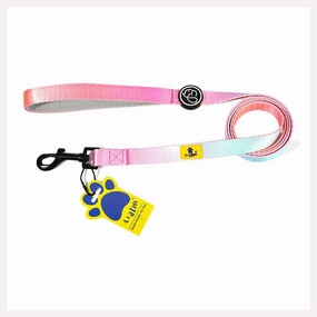 A a Pets' Leash in Gradient Design