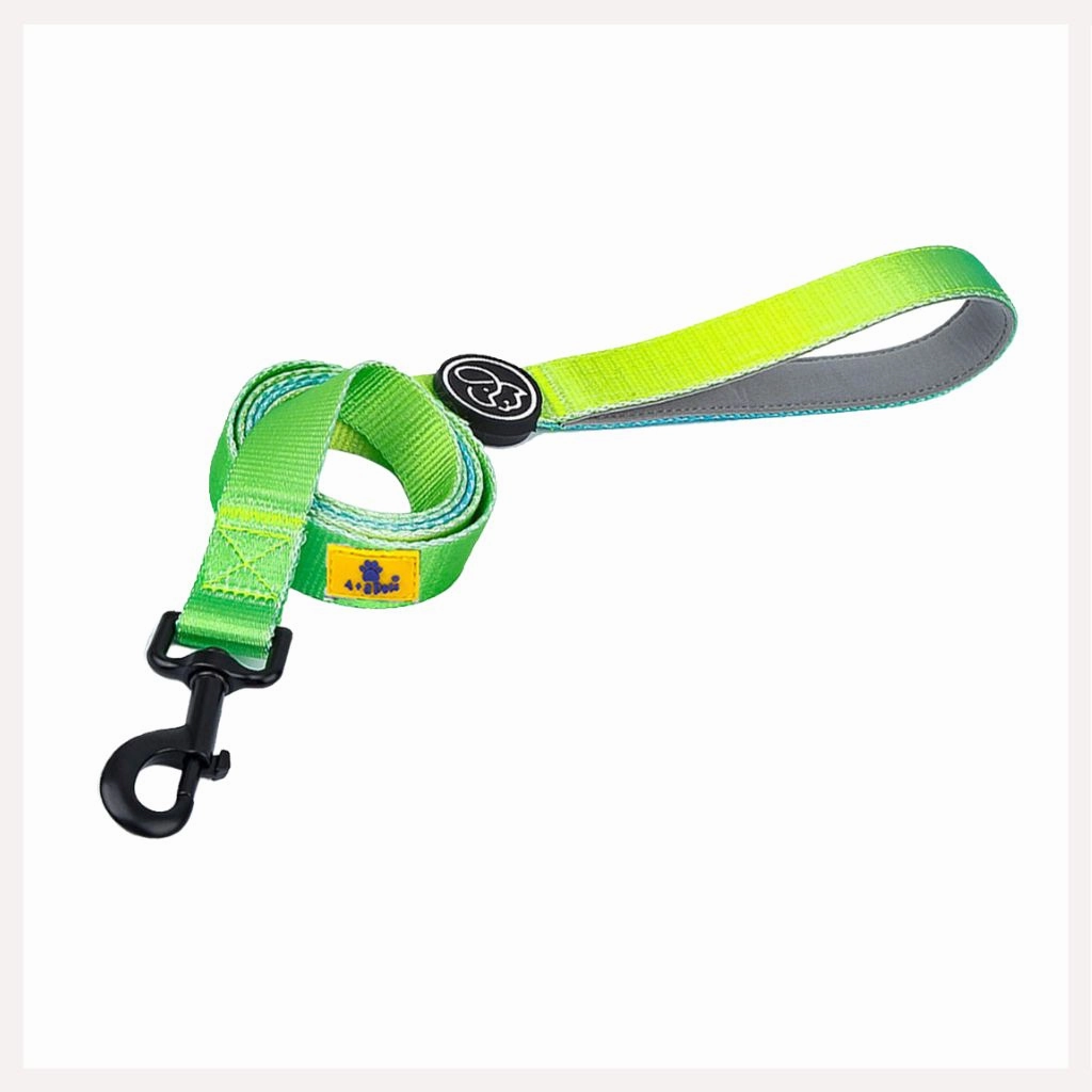 A a Pets' Leash in Gradient Design