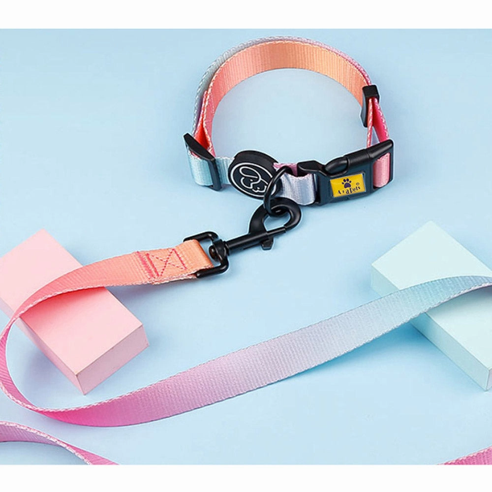A a Pets' Leash in Gradient Design