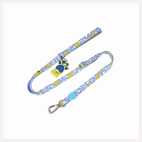 A a Pets' Length Adjustable Leash in Pirate Design
