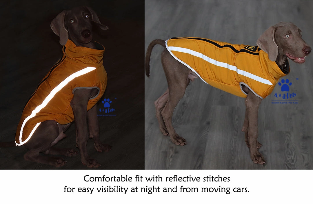 A a Pets' Luxurious 'Rain & Wind' Jacket for Dogs