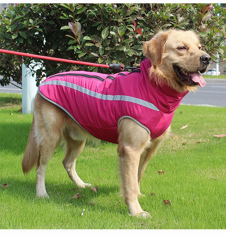 A a Pets' Luxurious 'Rain & Wind' Jacket for Dogs