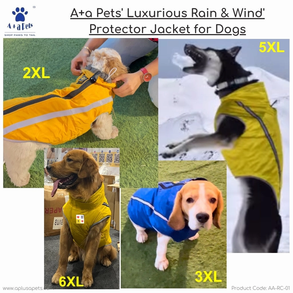 A a Pets' Luxurious 'Rain & Wind' Jacket for Dogs