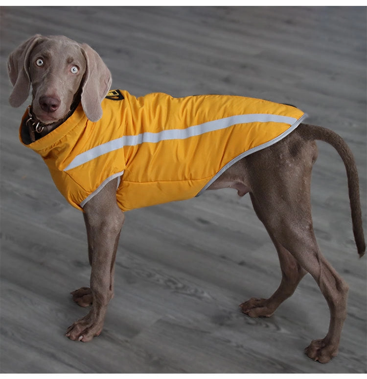 A a Pets' Luxurious 'Rain & Wind' Jacket for Dogs