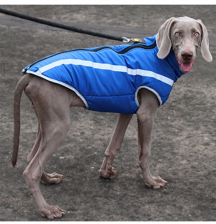 A a Pets' Luxurious 'Rain & Wind' Jacket for Dogs