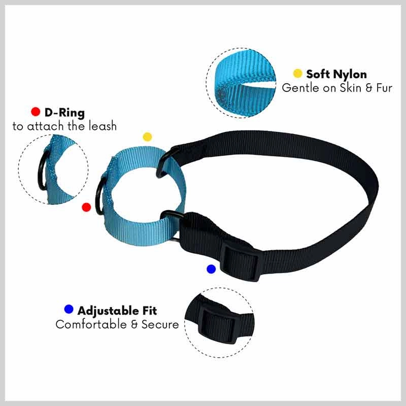 A a Pets?? Martingale Collar for Dogs - Black Collection