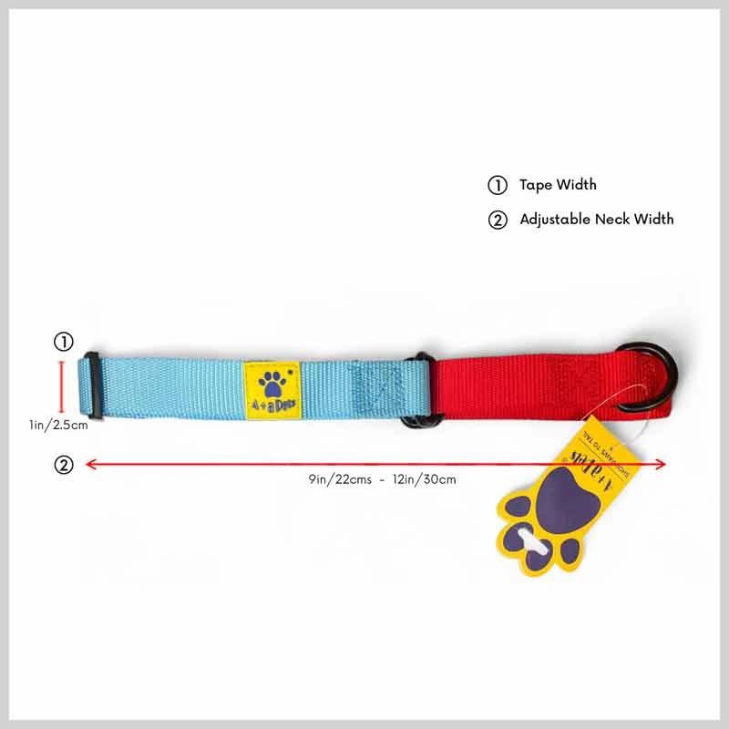 A a Pets?? Martingale Collar for Dogs - Black Collection