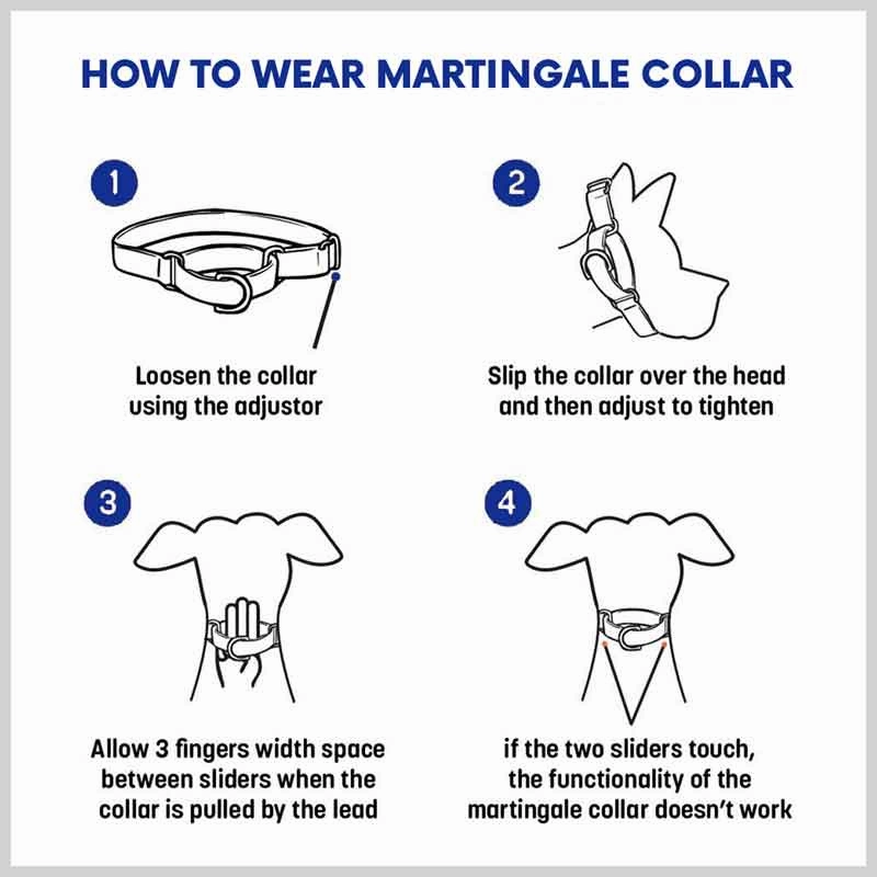 A a Pets?? Martingale Collar for Dogs - Black Collection