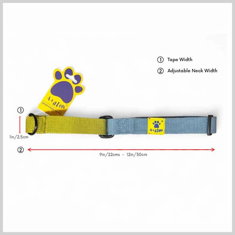 A a Pets?? Martingale Collar for Dogs - Blue Cotton Collection