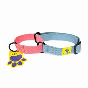 A a Pets?? Martingale Collar for Dogs - Blue Cotton Collection