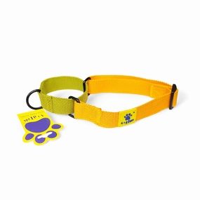 A a Pets?? Martingale Collar for Dogs - Mango Cotton Collection