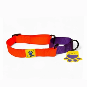 A a Pets?? Martingale Collar for Dogs - Orange Collection