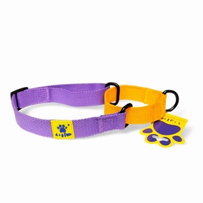 A a Pets?? Martingale Collar for Dogs - Purple Cotton Collection