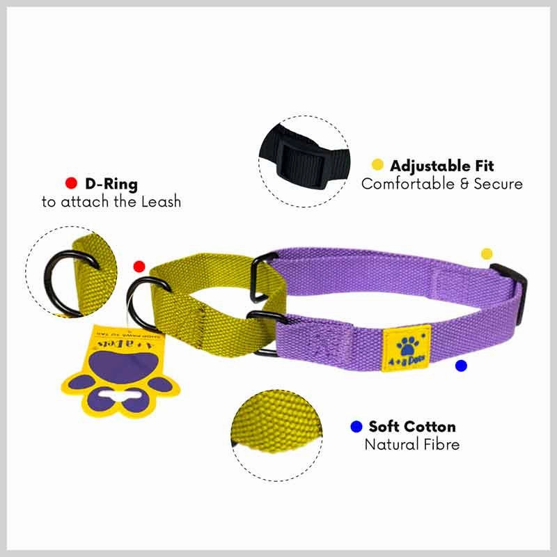 A a Pets?? Martingale Collar for Dogs - Purple Cotton Collection