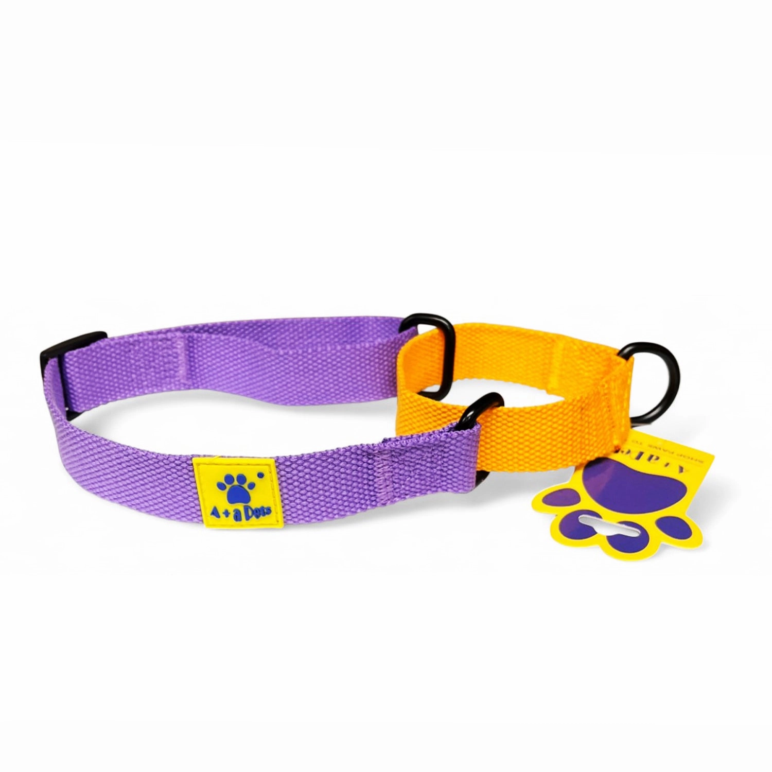 A a Pets?? Martingale Collar for Dogs - Purple Cotton Collection