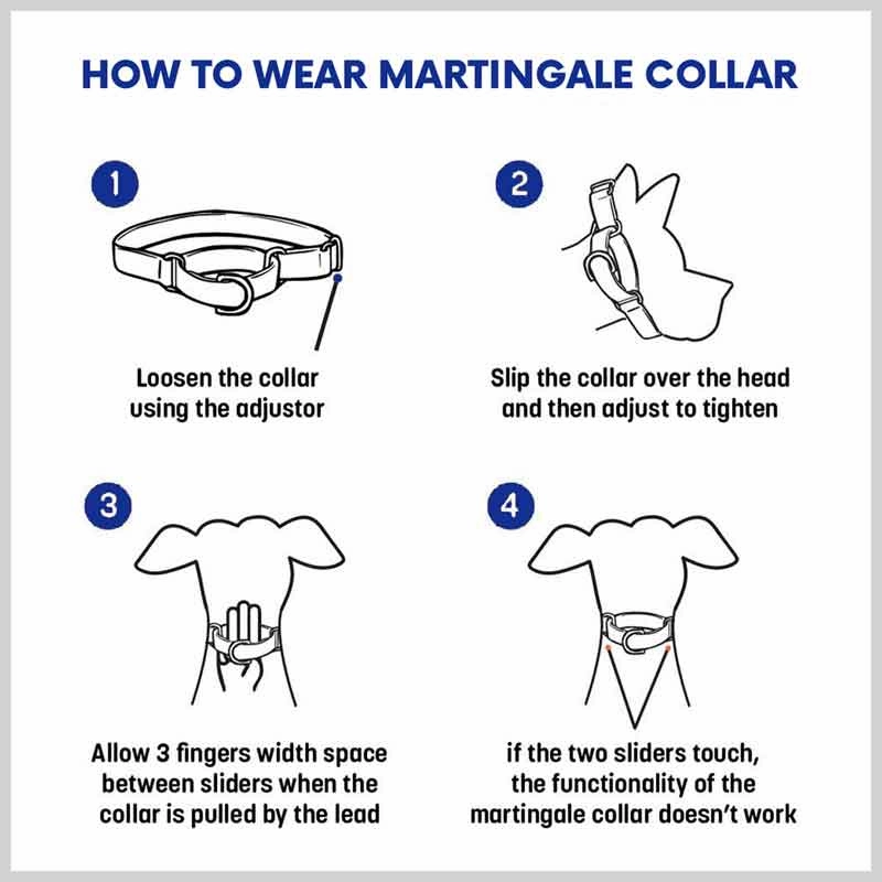 A a Pets?? Martingale Collar for Dogs - Red Collection