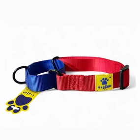 A a Pets?? Martingale Collar for Dogs - Red Collection