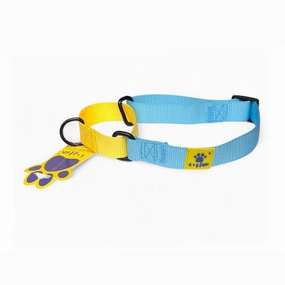 A a Pets?? Martingale Collar for Dogs - Sky Collection