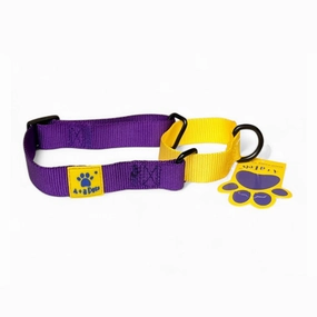 A a Pets?? Martingale Collar for Dogs - Yellow Collection