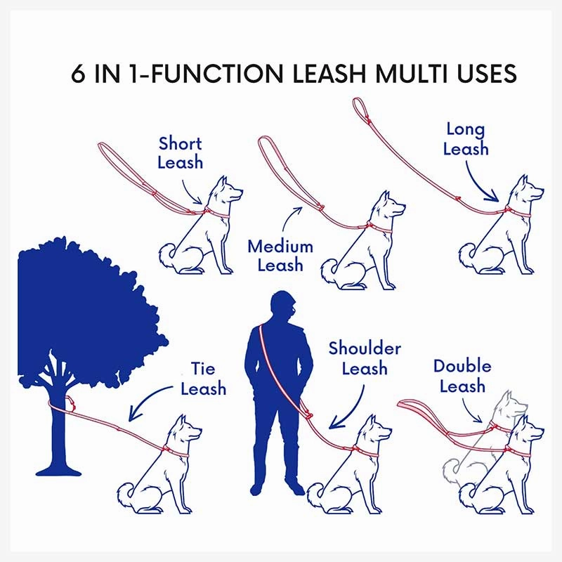 A a Pets?? Multi-Function Cotton Leash - Blue Collection