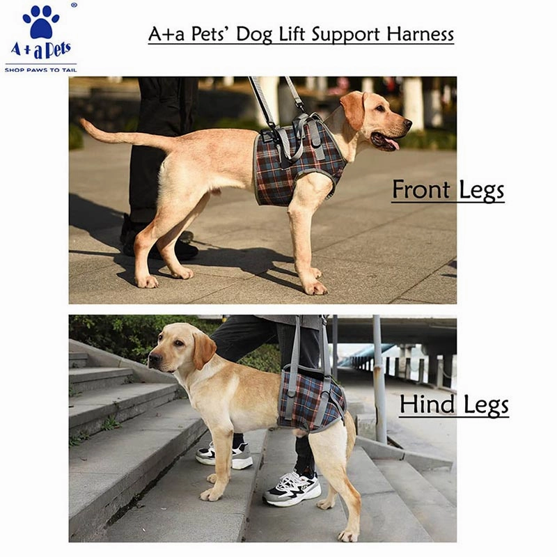 A a Pets' Multi Function Everyday Vest Harness with Front Leg Lift Support