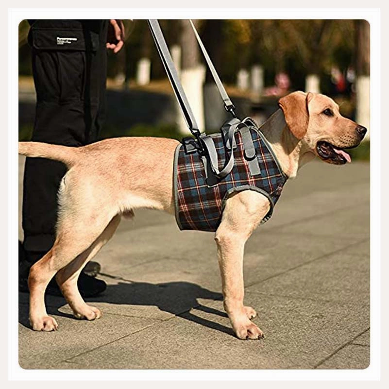 A a Pets' Multi Function Everyday Vest Harness with Front Leg Lift Support