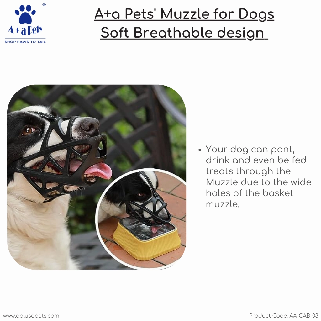 A a Pets' Muzzle for Dogs
