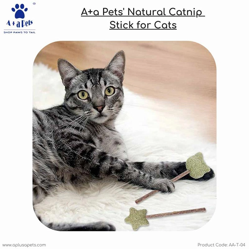 A a Pets' Natural Catnip Wooden Stick for Cat - Chew Mint Lollipop Toy