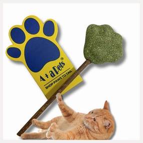 A a Pets' Natural Catnip Wooden Stick for Cat - Chew Mint Lollipop Toy