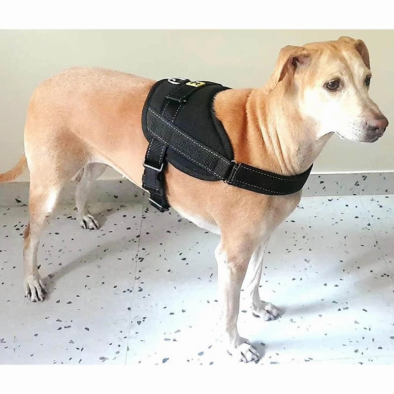A a Pets' No Pull Escape Proof Reflective Vest Harness for Dogs