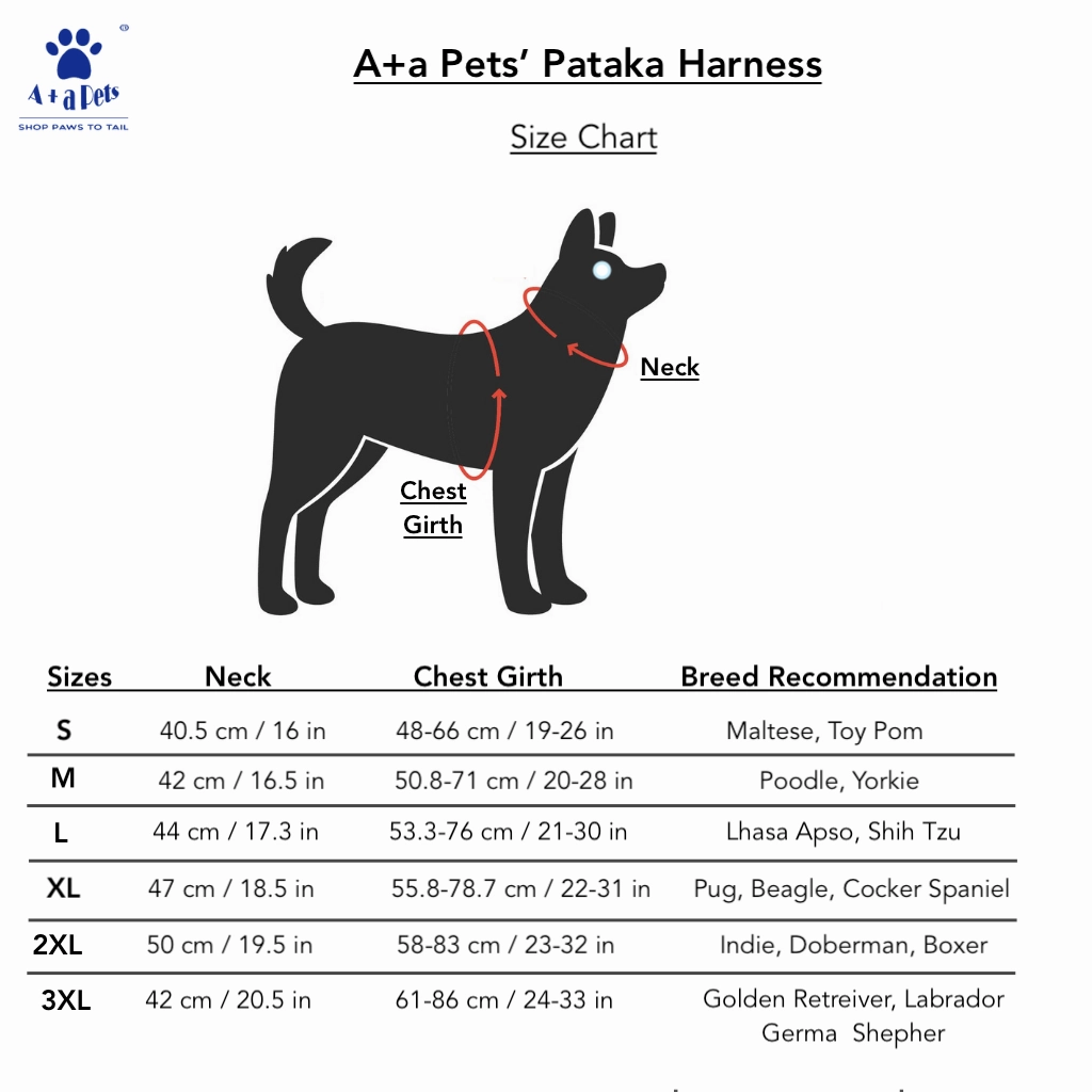 A a Pets' Pataka' Harness and Leash Set for Dogs & Cats