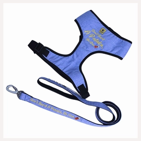 A a Pets' Pataka' Harness and Leash Set for Dogs & Cats