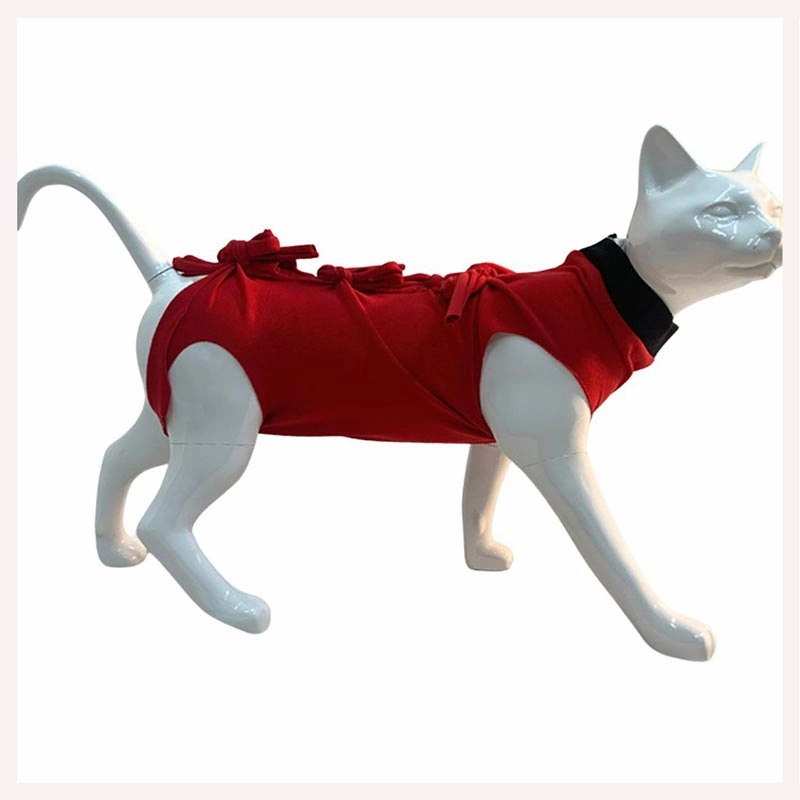 A a Pets' Post Surgery Recovery Clothing for Cats