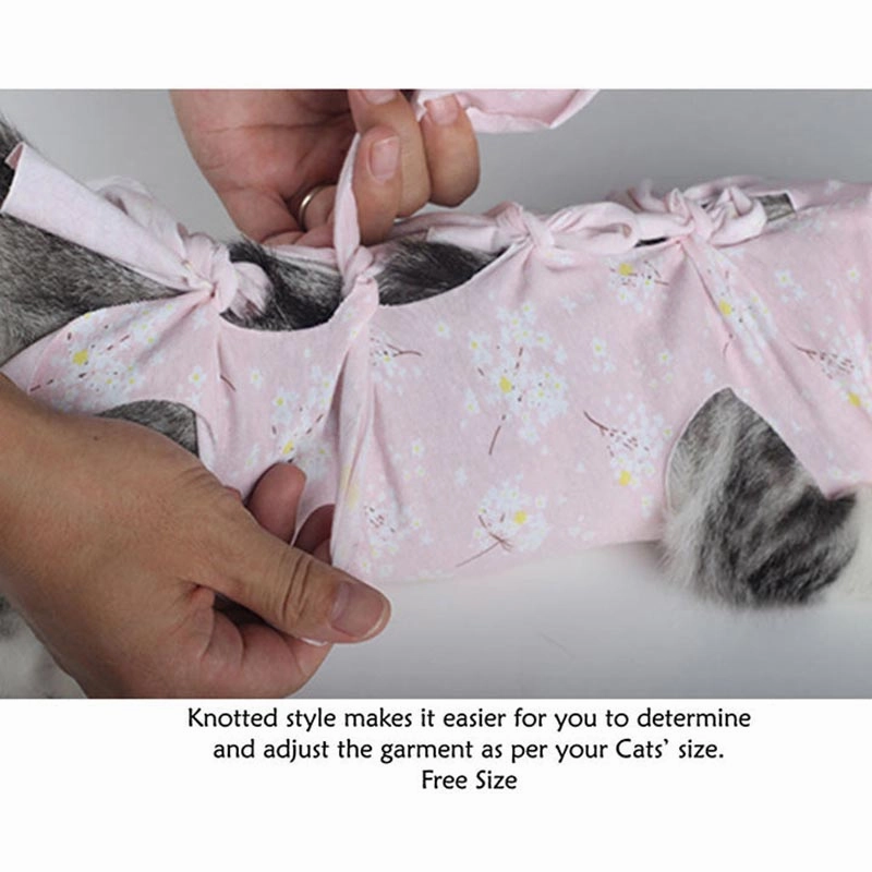 A a Pets' Post Surgery Recovery Clothing for Cats