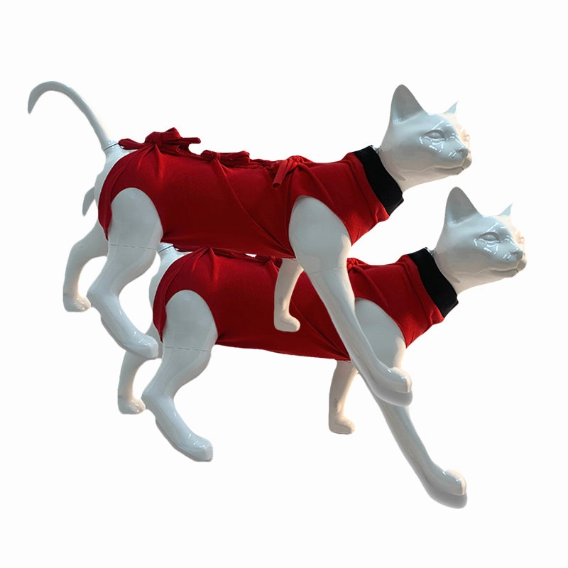 A a Pets' Post Surgery Recovery Clothing for Cats