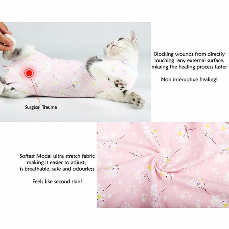 A a Pets' Post Surgery Recovery Clothing for Cats