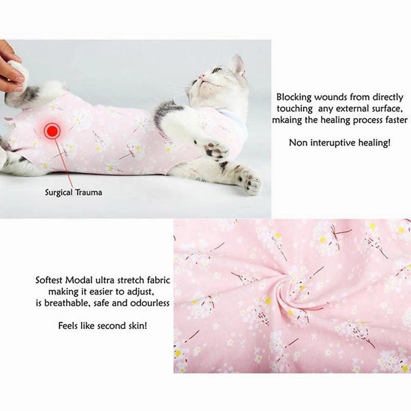 A a Pets' Post Surgery Recovery Clothing for Cats