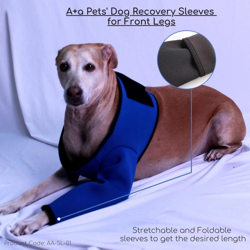 A a Pets' Recovery Sleeves  Wrap for Front Legs