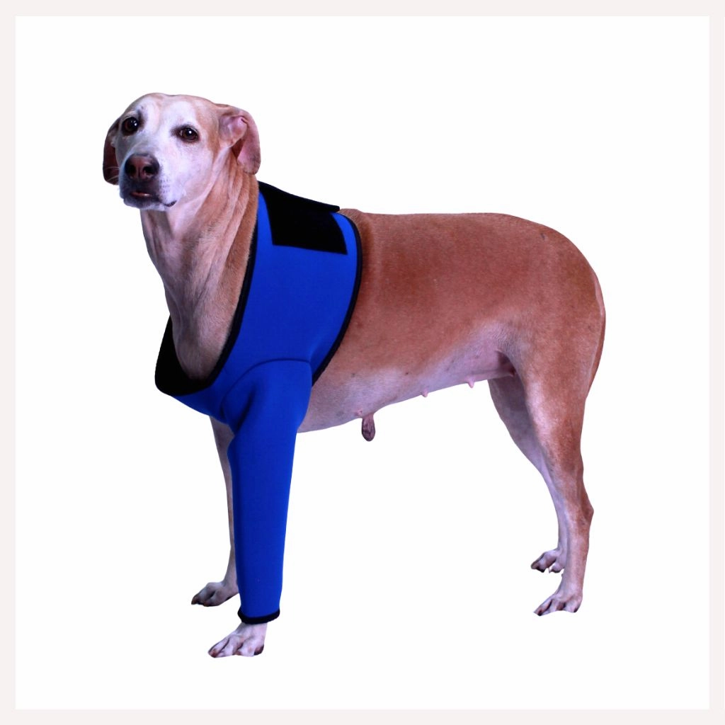 A a Pets' Recovery Sleeves  Wrap for Front Legs